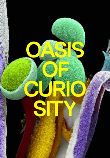 Oasis of curiosity