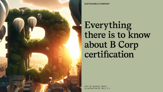 Everything you need to know about B Corp certification