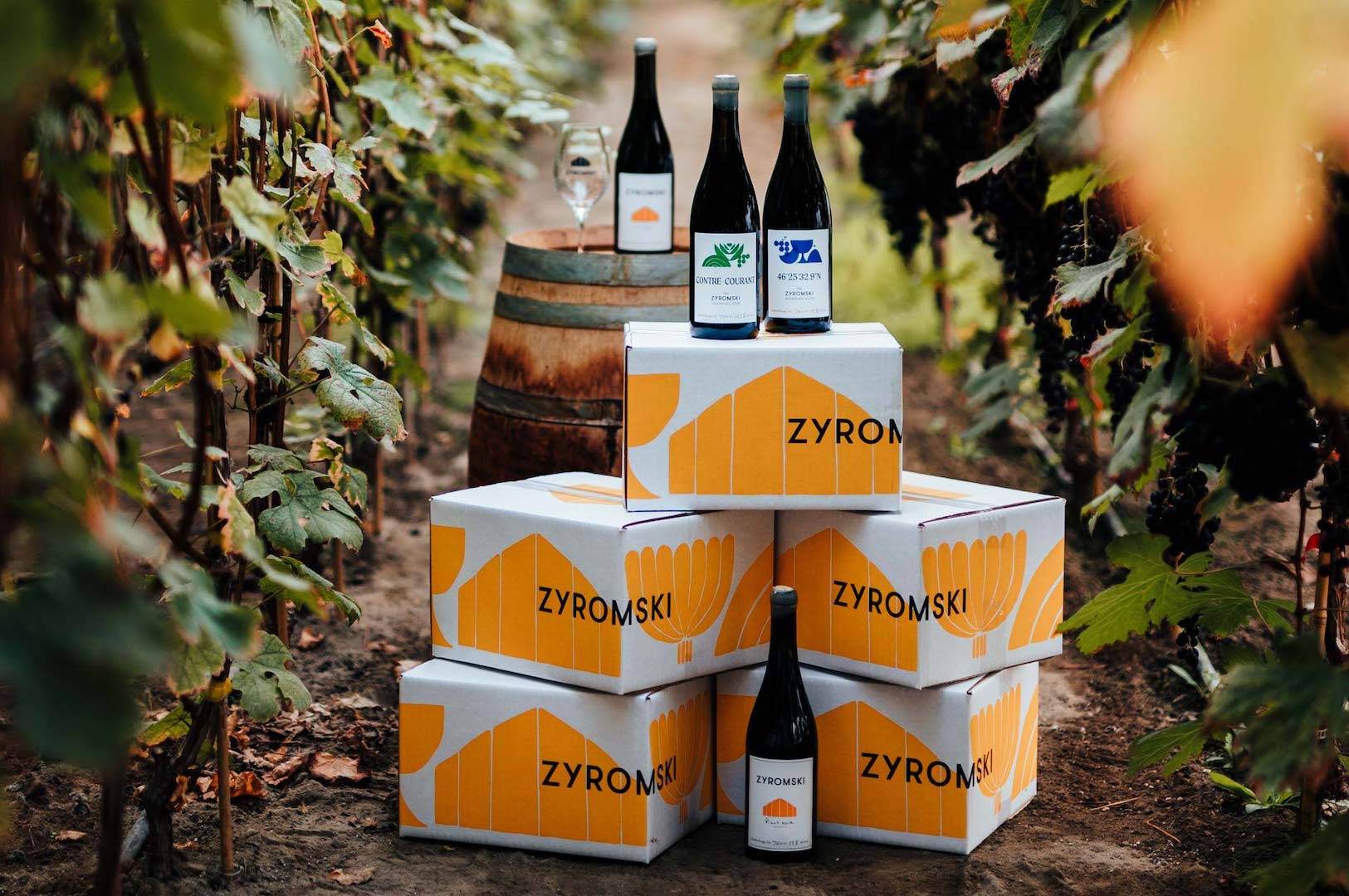 Zyromski wine cases with yellow graphic elements, echoing the design of the different bottles