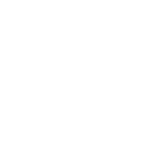 AEROMAG_LOGO_SERVICES