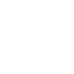 CDPQ_LOGO_SERVICES