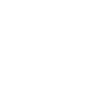 POMERLEAU_LOGO_SERVICES