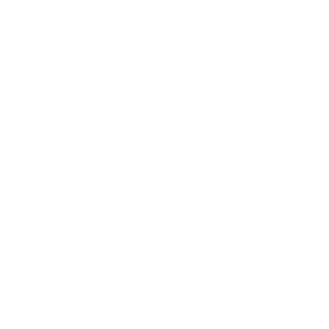 SIMPLEX_LOGO_SERVICES