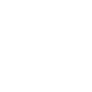 STGM_LOGO_SERVICES