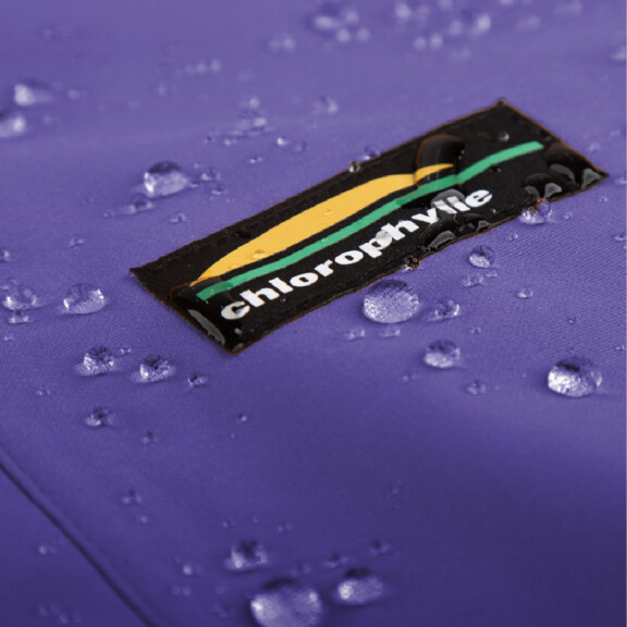 Carrousel-1e copie-100