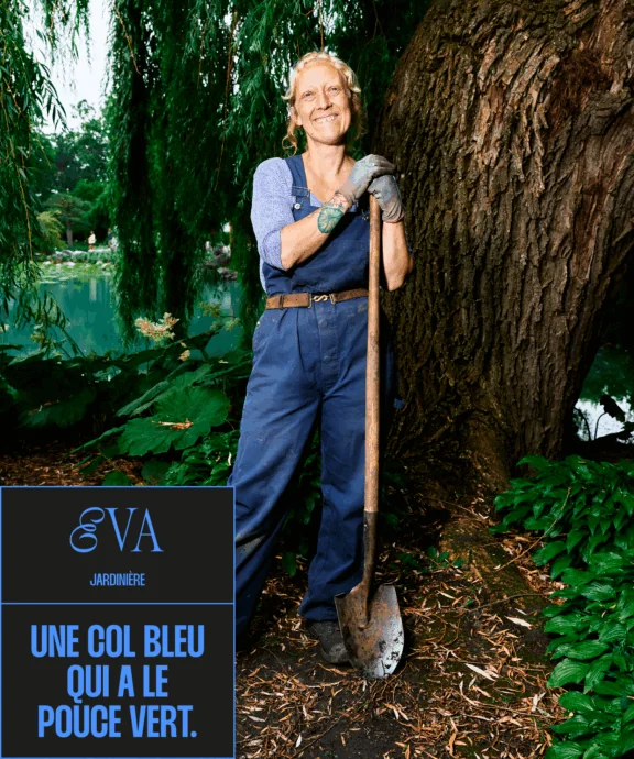col bleu étude de cas