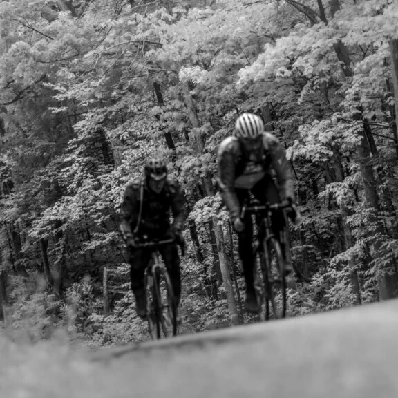 Baumier_CaseStudy_Thumbnail_#3